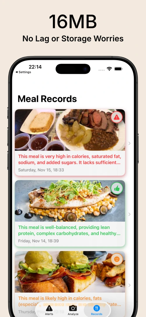 App Screenshot 1: Meal Analysis View